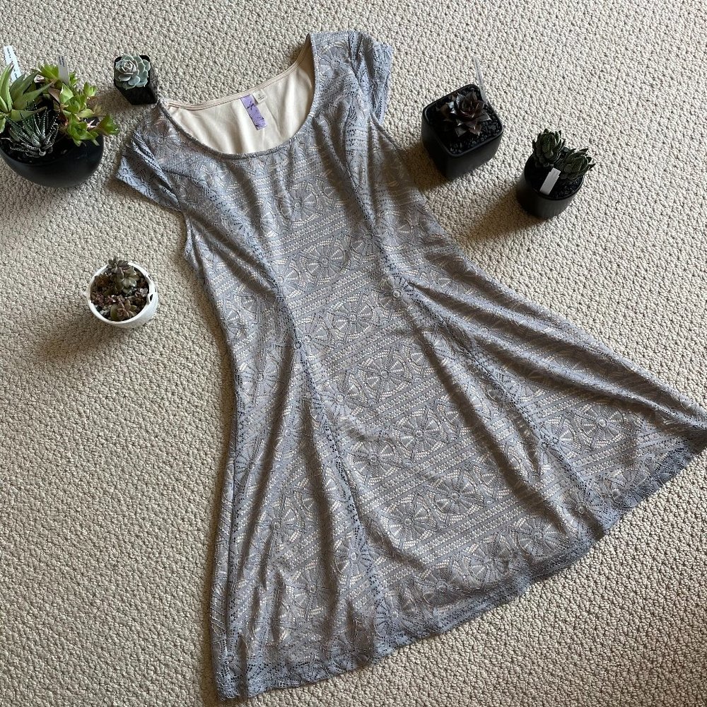 Francesca's Lace Overlay Dress